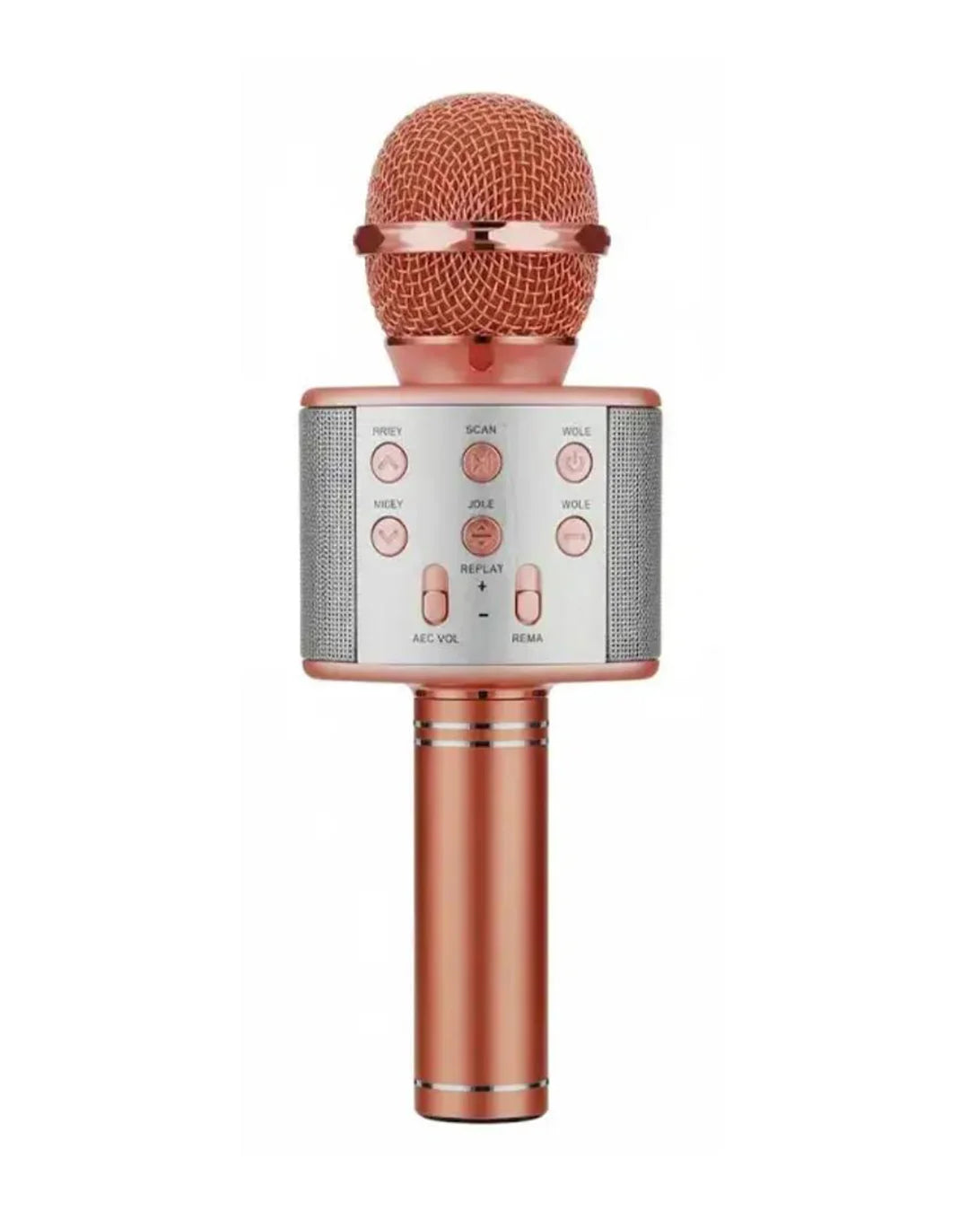 Voice Blast Karaoke Mic